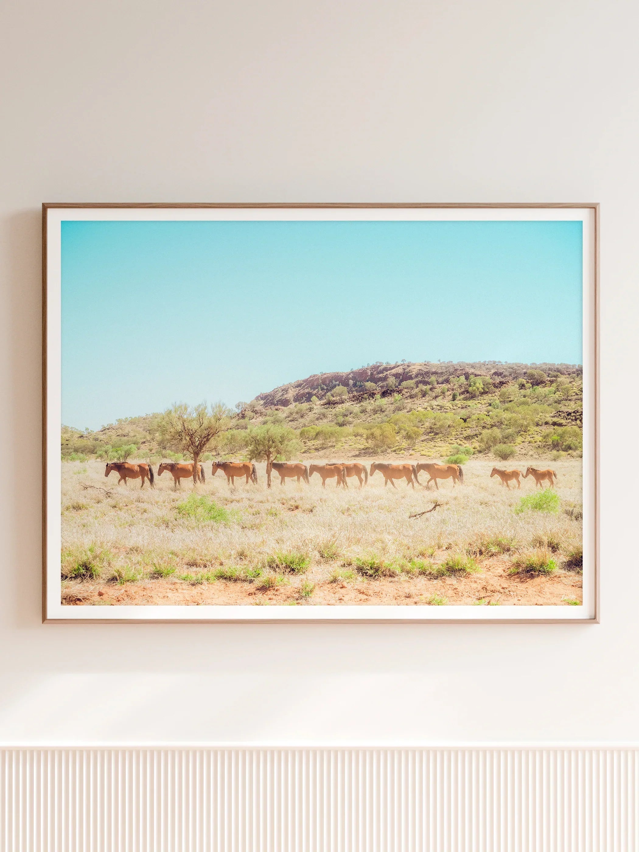 Australia Collection