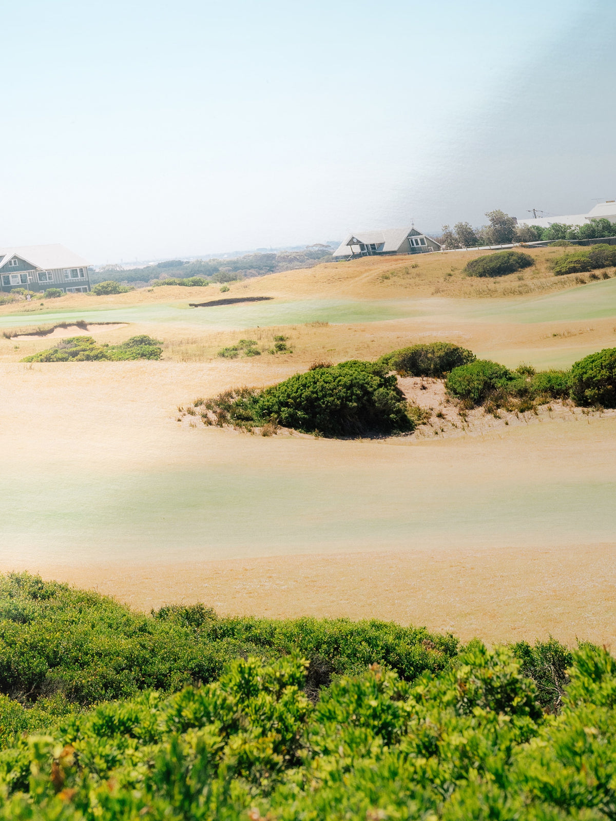 Close-up detail of the Barwon Heads Golf Course Summer Fairways Landscape giclée print on archival Smooth Pearl photo paper
