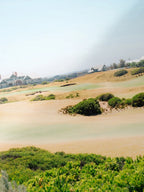 Barwon Heads Golf Course Summer Fairways Landscape