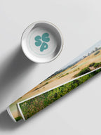 Barwon Heads Golf Course Summer Fairways Landscape