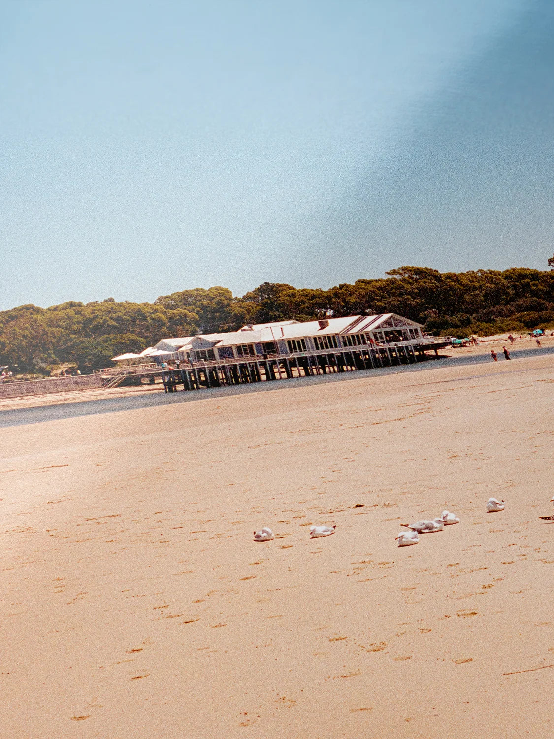 Barwon Heads Pier in Summer