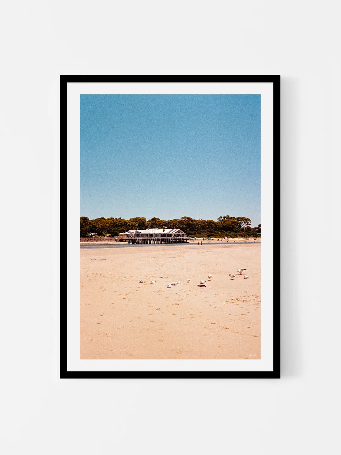 Barwon Heads Pier in Summer