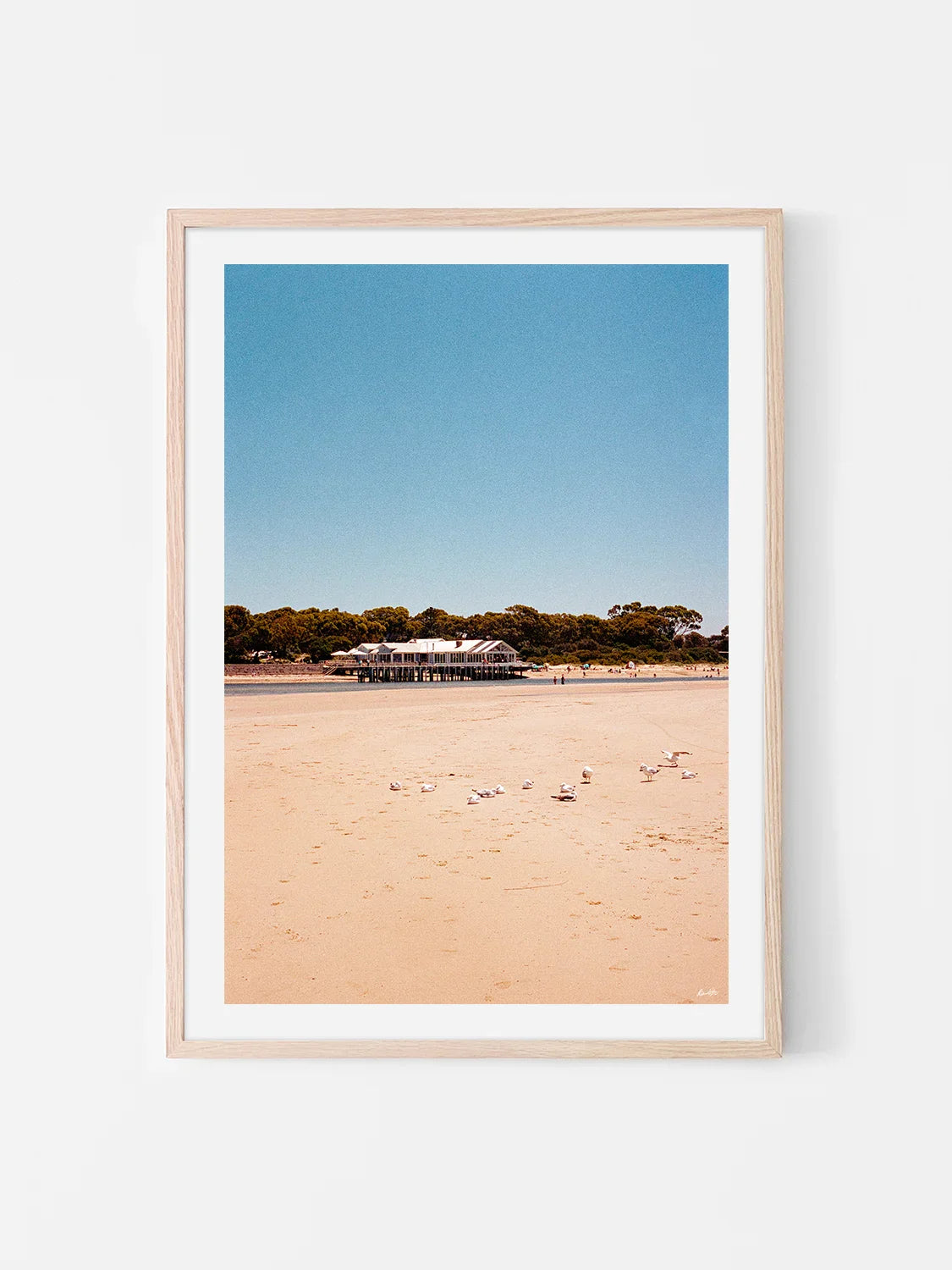 Barwon Heads Pier in Summer