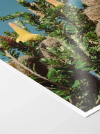 Breamlea Beach Banksia