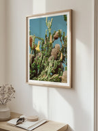 Breamlea Beach Banksia