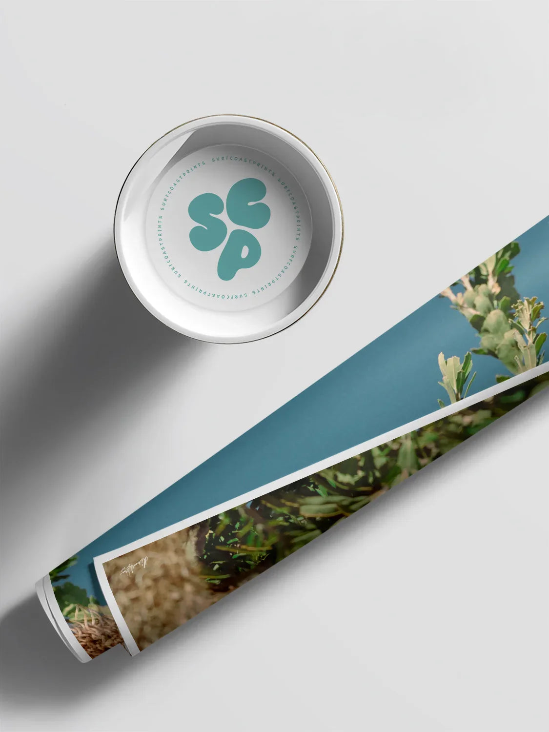 Breamlea Beach Banksia