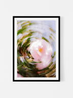 Bright Flower Series - Camelia Japonica Pink