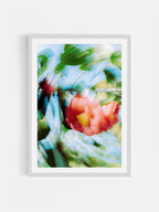 Bright Flower Series - Camelia Japonica Red