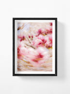 Bright Flower Series - Magnolia + Soulangeana in White Pink and Red