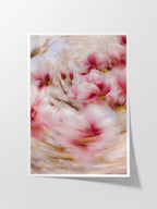 Bright Flower Series - Magnolia + Soulangeana in White Pink and Red