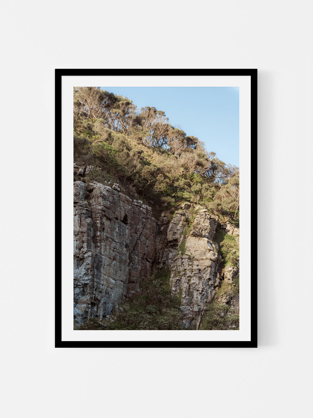 Cumberland River Rock Gorge Wall in Shadow (Portrait)