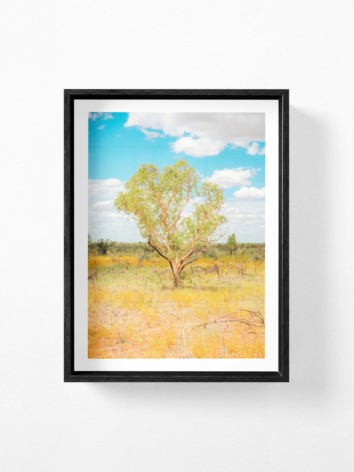 Darwin to Alice Springs Tree and Grass