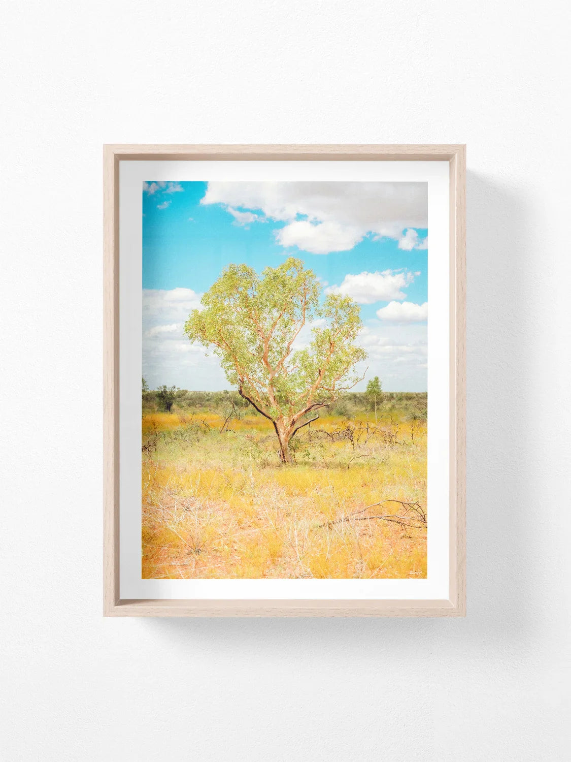 Darwin to Alice Springs Tree and Grass