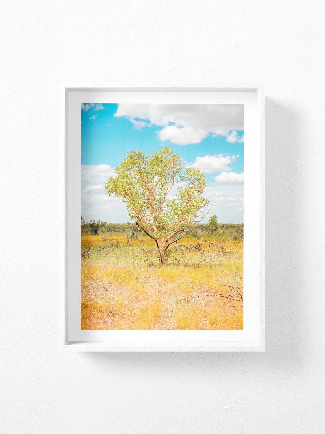 Darwin to Alice Springs Tree and Grass