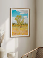 Darwin to Alice Springs Tree and Grass