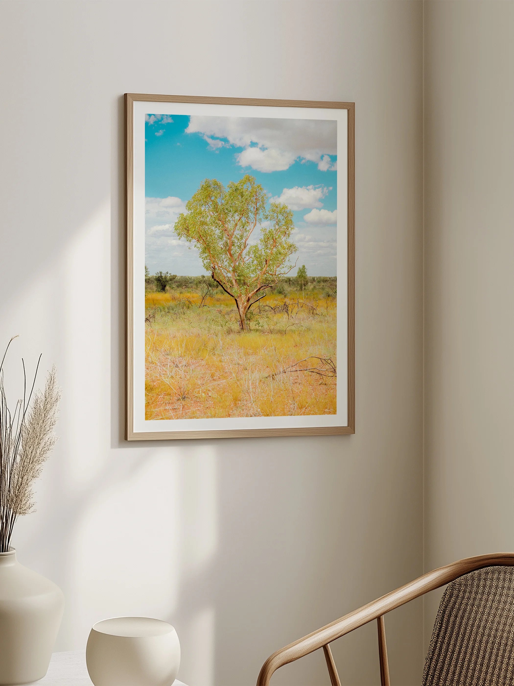 Darwin to Alice Springs Tree and Grass