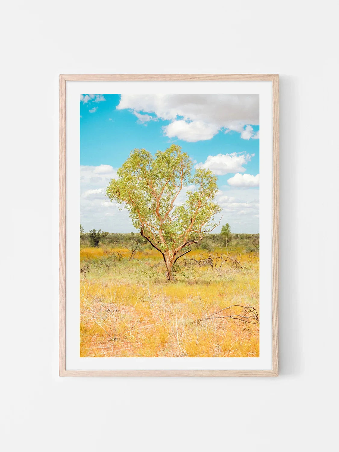 Darwin to Alice Springs Tree and Grass