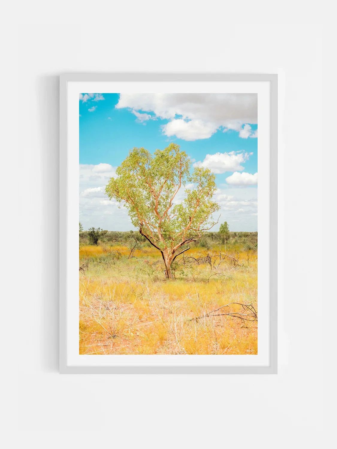 Darwin to Alice Springs Tree and Grass