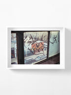 EVOLVE in Bushwick Brooklyn