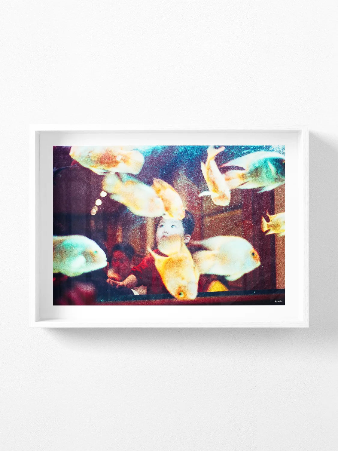 Face in Paris Fish Tank