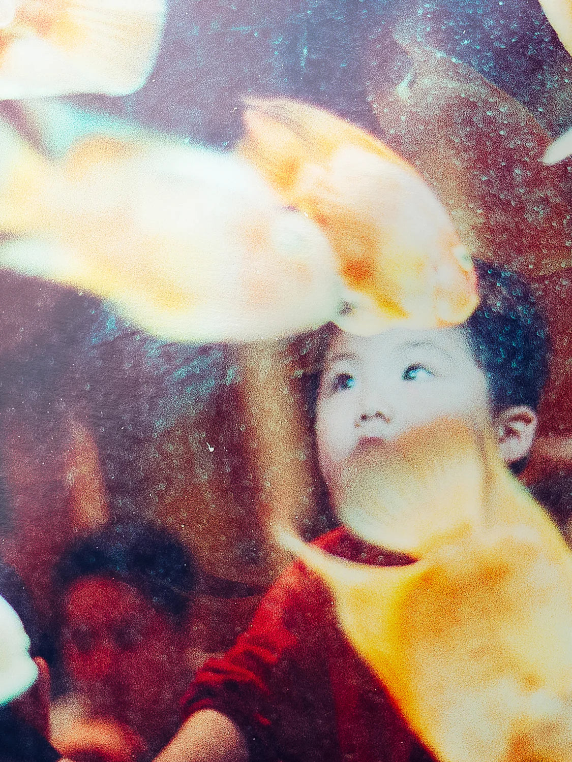 Face in Paris Fish Tank