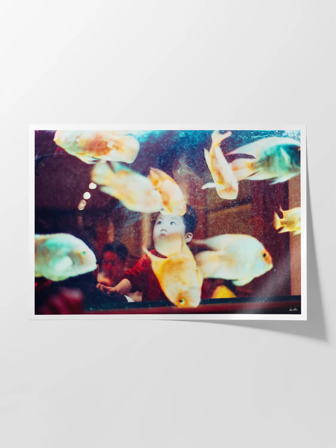 Face in Paris Fish Tank