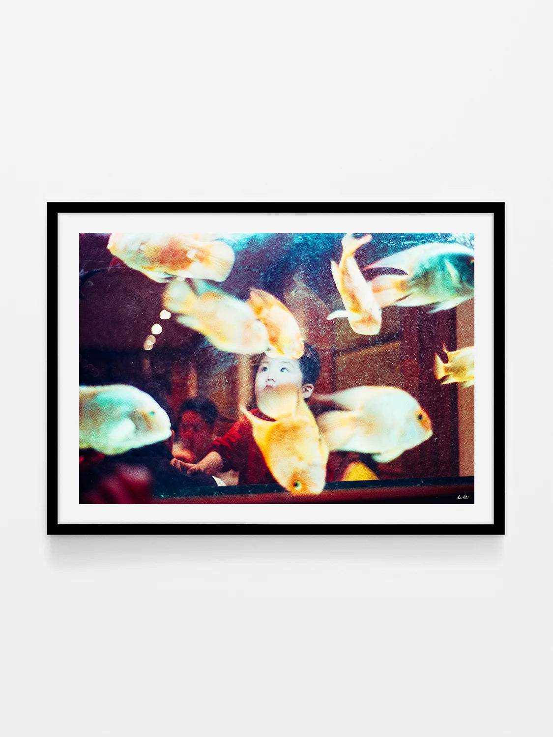 Face in Paris Fish Tank