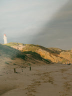 Fairhaven Beach Lighthouse Approach Portrait