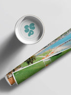 From Eastern Beach Across Geelong Waterfront Landscape