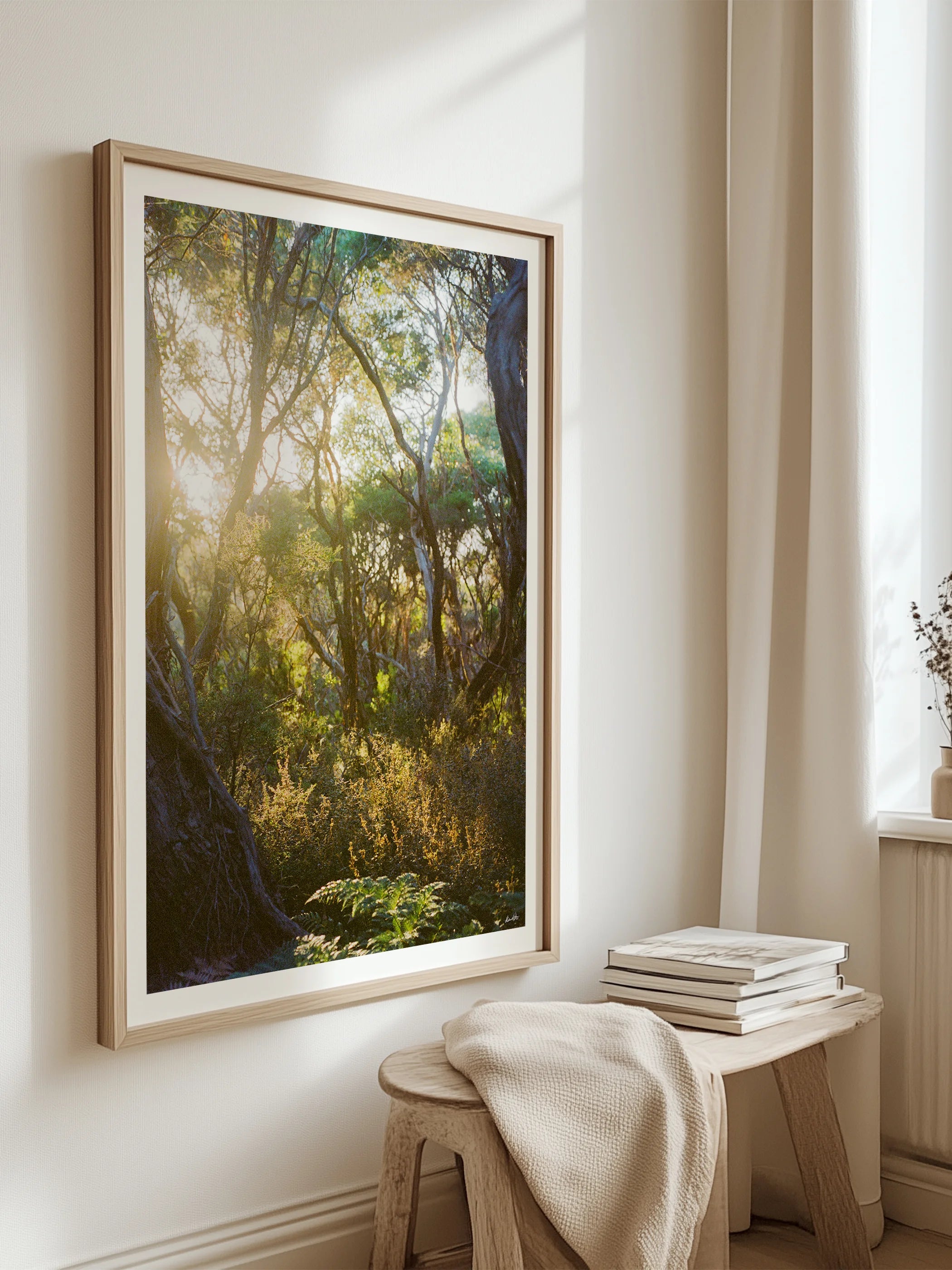 Great Ocean Walk Moonahs and Gum at Sunrise Portrait