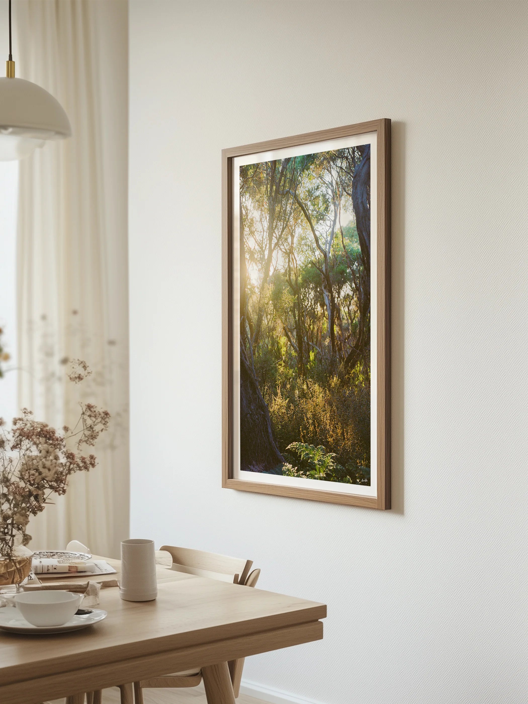 Great Ocean Walk Moonahs and Gum at Sunrise Portrait