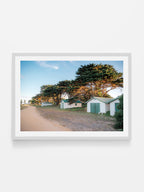 Indented Head Boat Sheds View