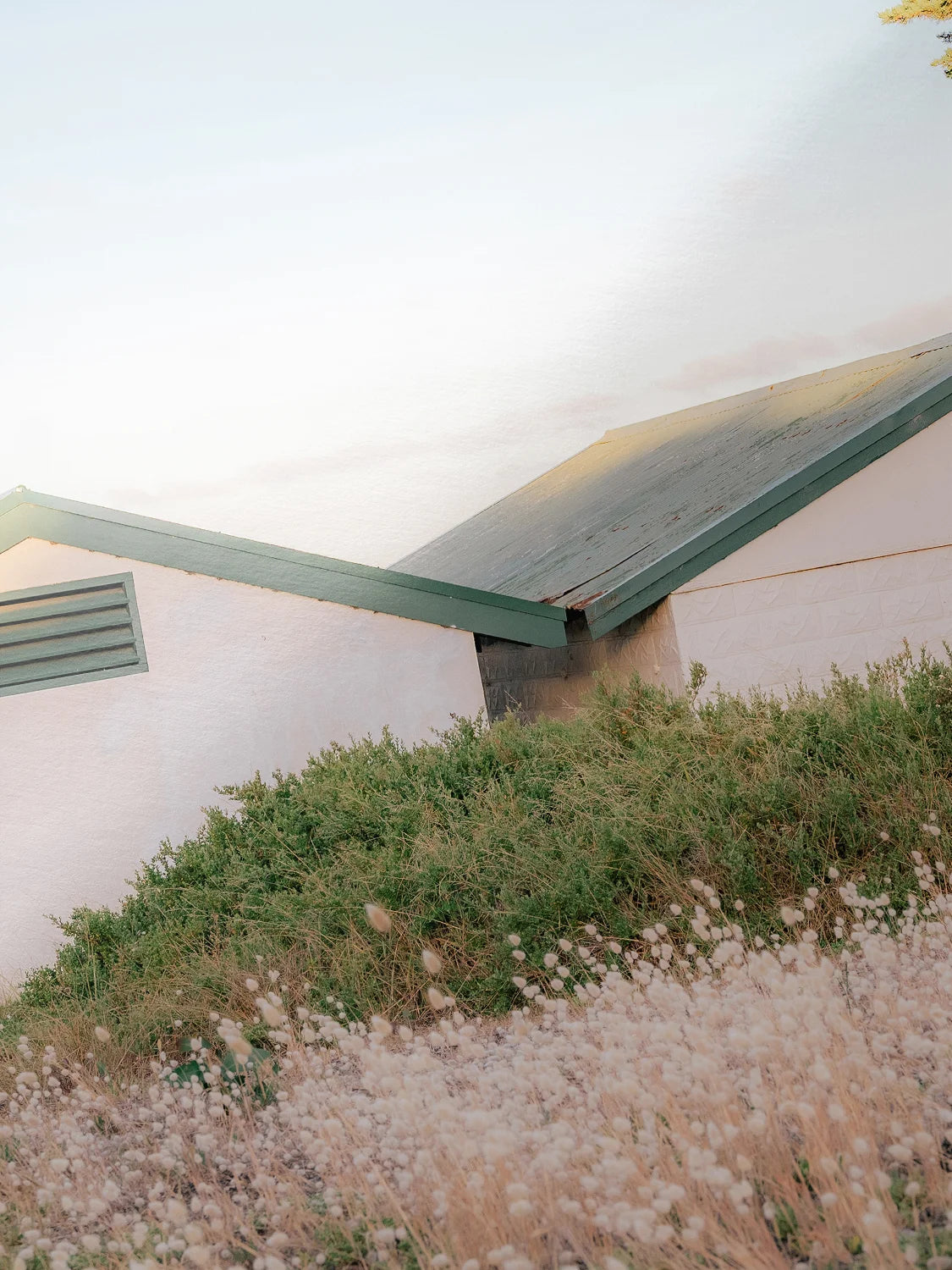 Indented Head Boatsheds at Sunset