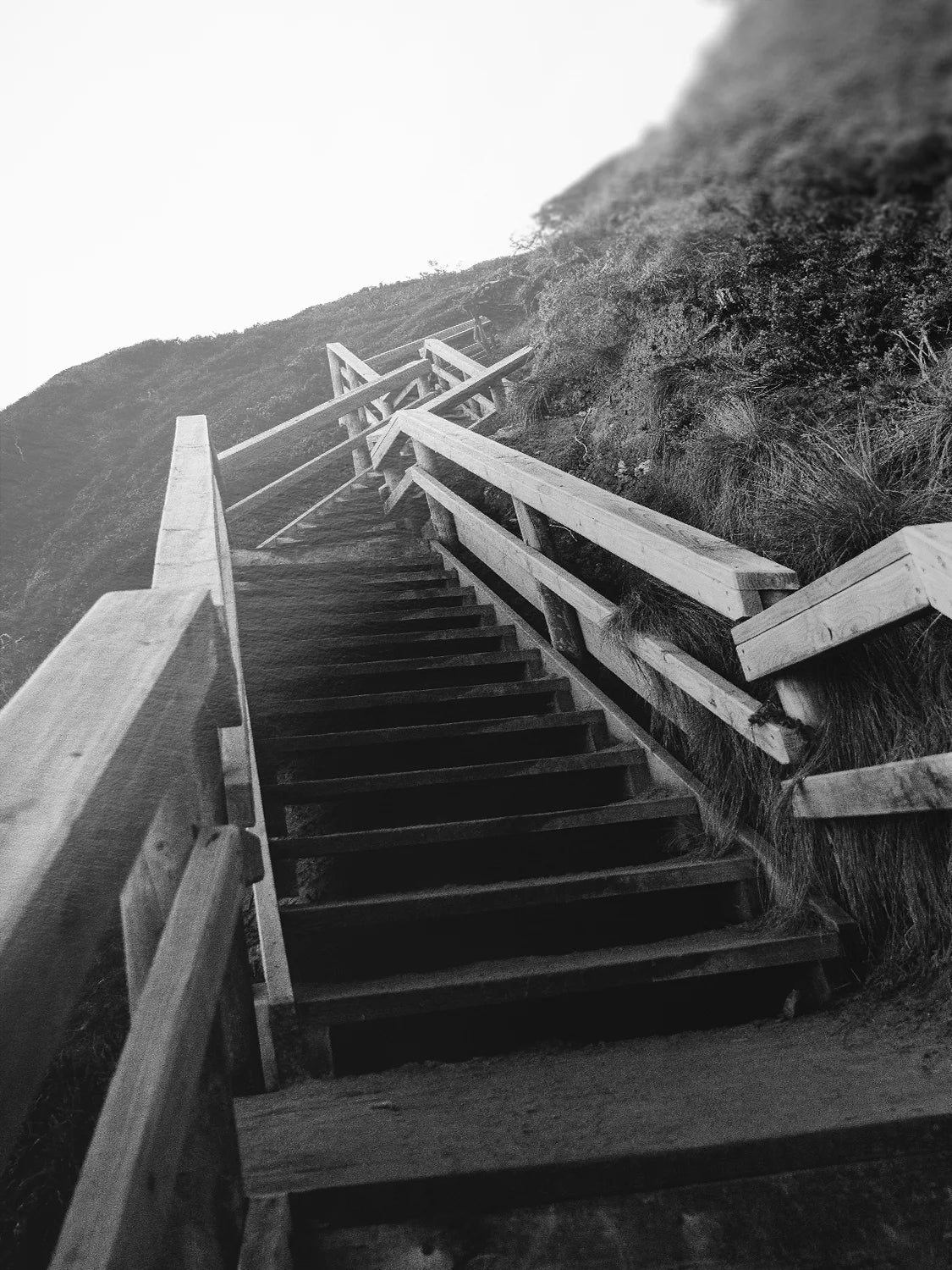 Jan Juc Surf Beach Steps