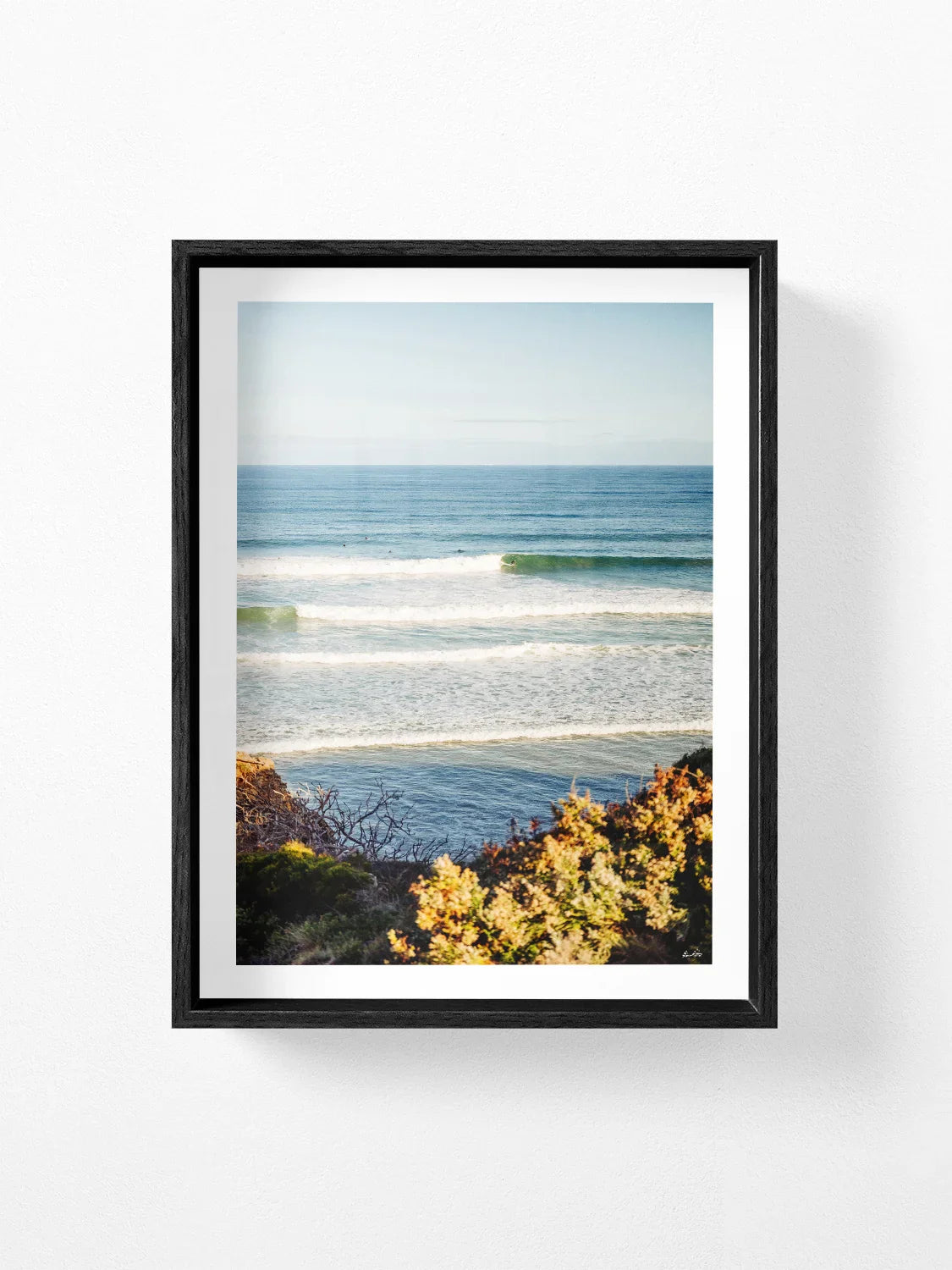 Jan Juc Wave Rider