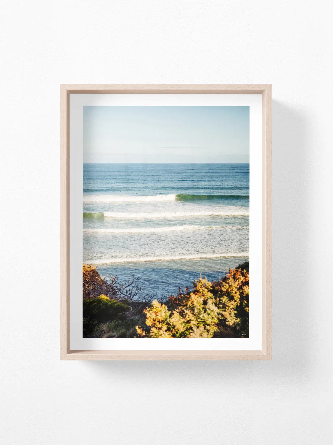 Jan Juc Wave Rider