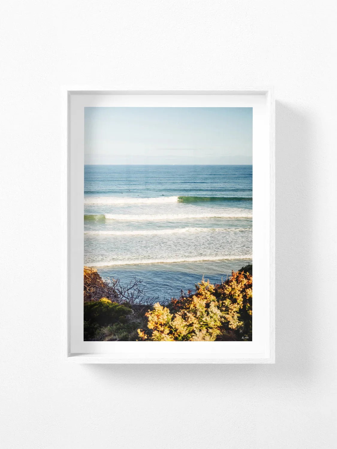 Jan Juc Wave Rider