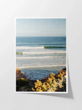 Jan Juc Wave Rider