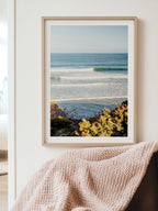 Jan Juc Wave Rider