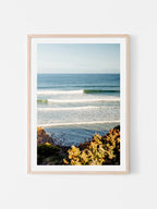 Jan Juc Wave Rider