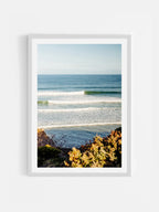 Jan Juc Wave Rider