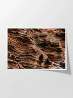 Lake Purrumbete Volcanic Rock Face