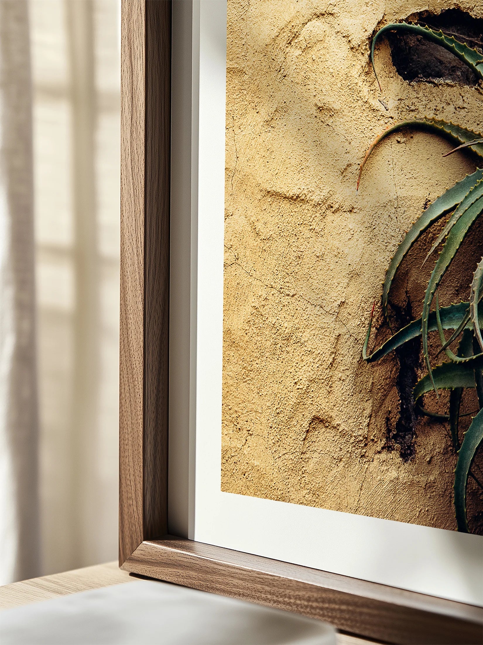 Las Palmas Candelabra Aloe on Wall