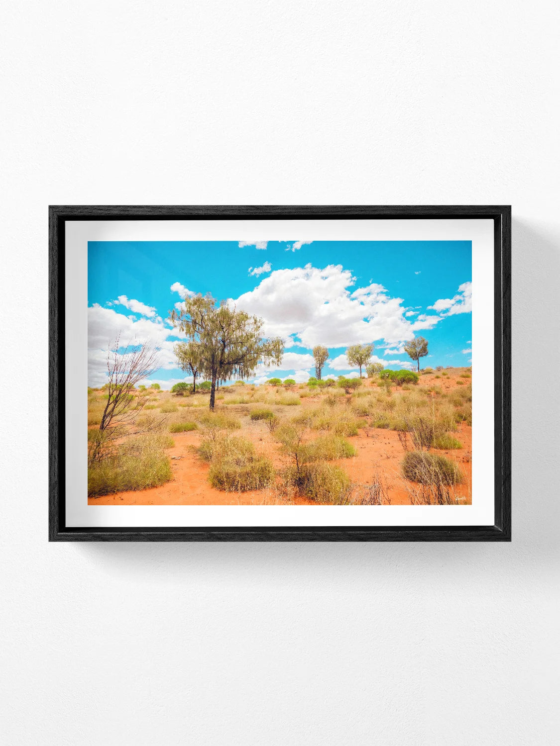 Lasseter Highway Spinifex, Trees and Dunes Landscape