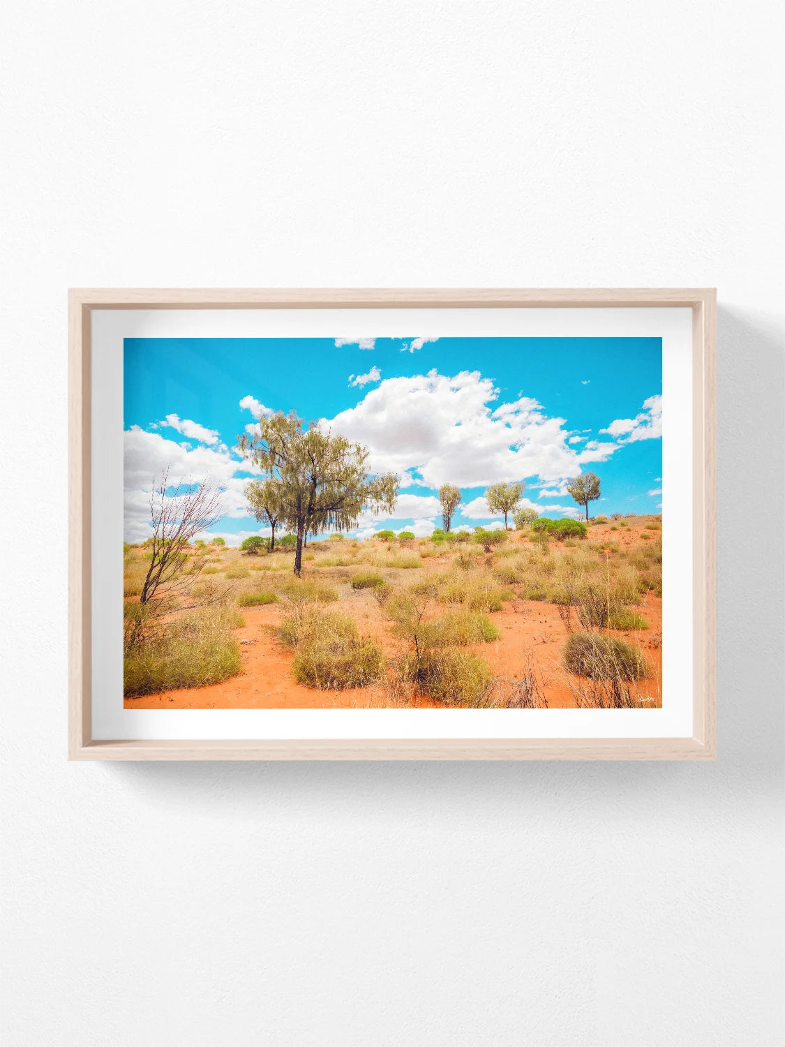 Lasseter Highway Spinifex, Trees and Dunes Landscape