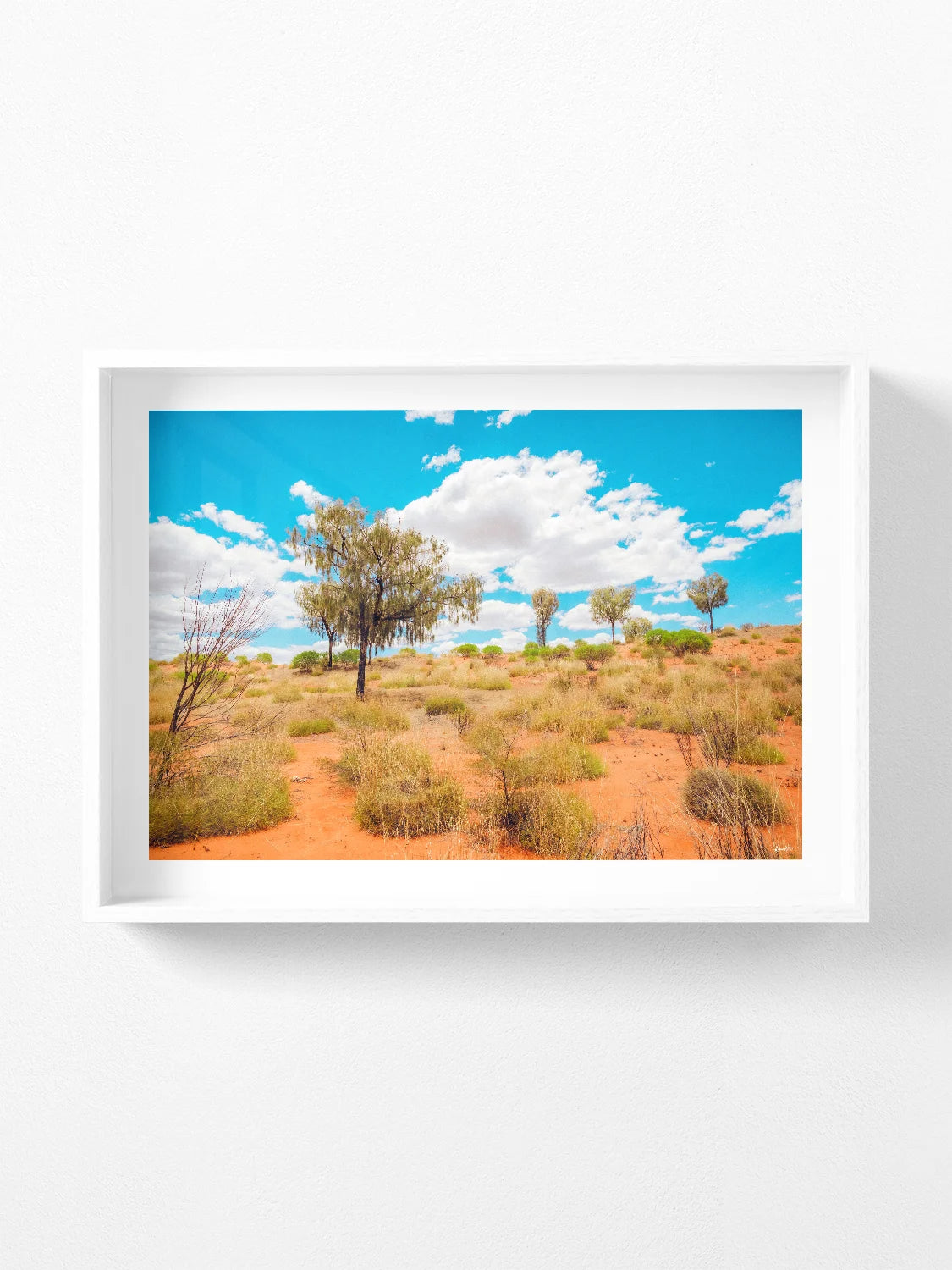Lasseter Highway Spinifex, Trees and Dunes Landscape
