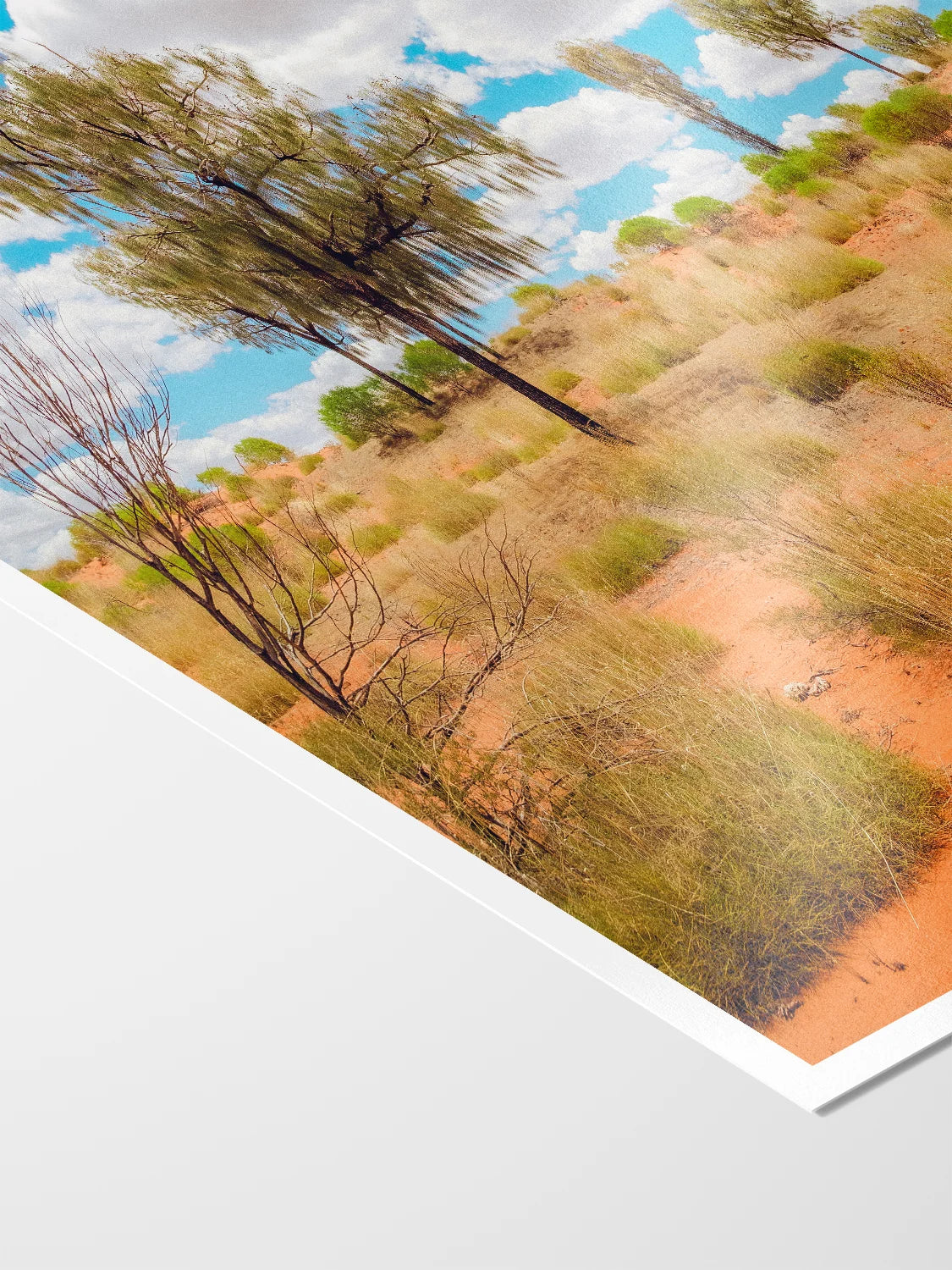 Lasseter Highway Spinifex, Trees and Dunes Landscape