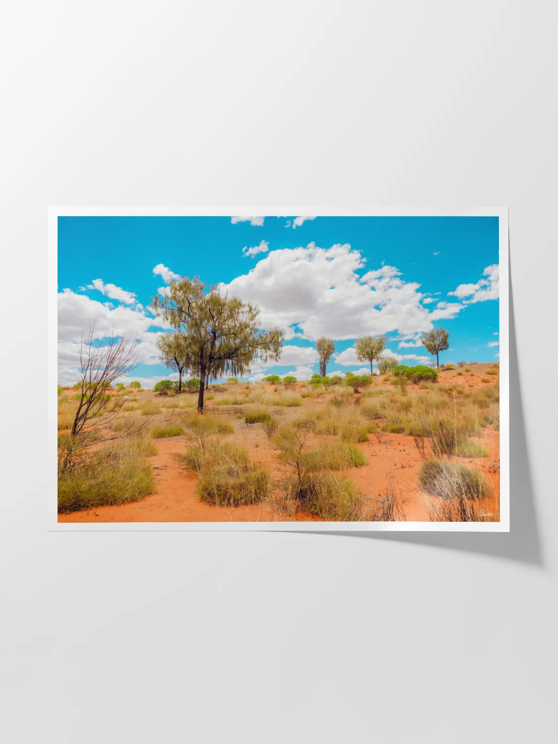 Lasseter Highway Spinifex, Trees and Dunes Landscape