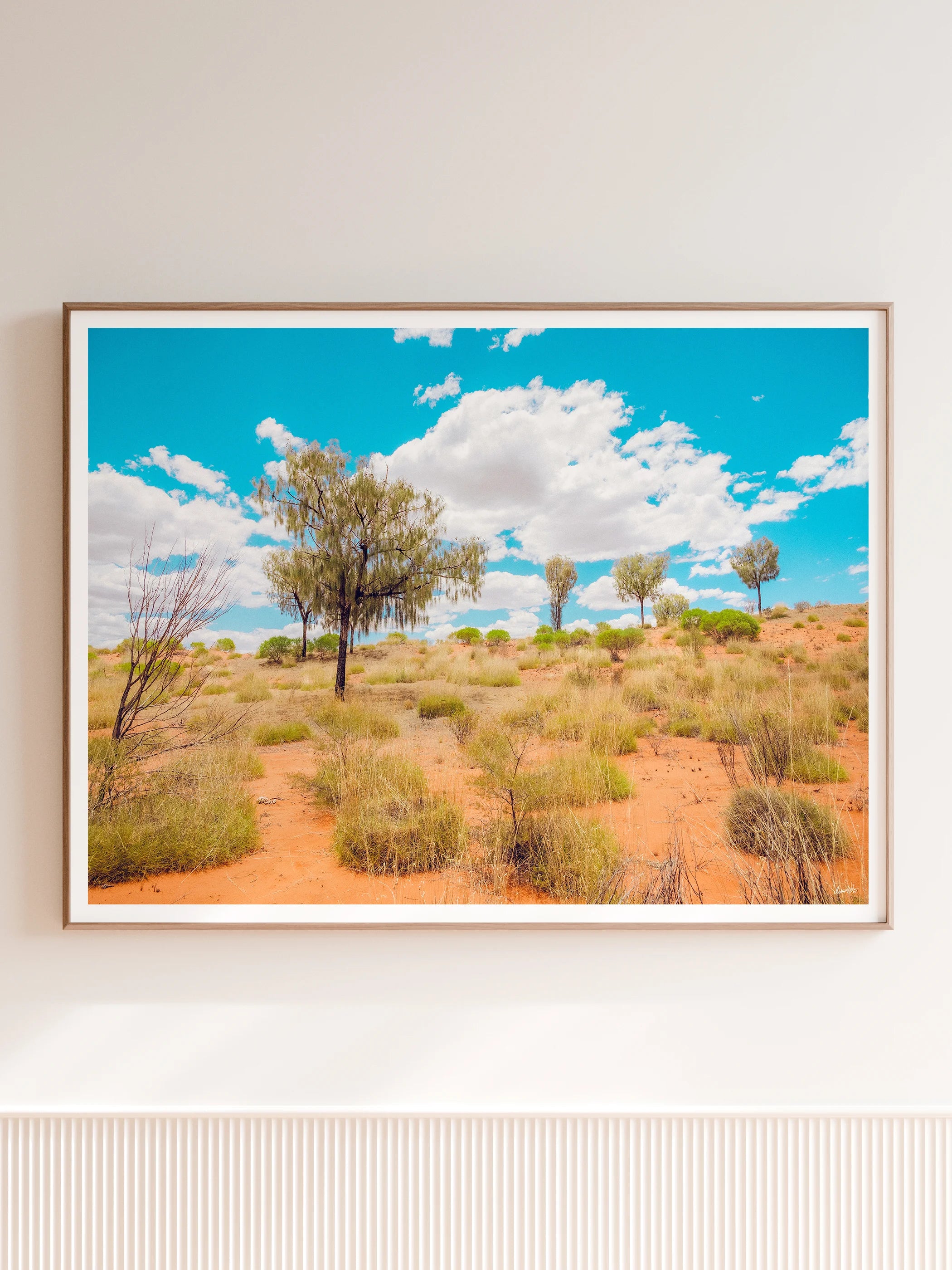 Lasseter Highway Spinifex, Trees and Dunes Landscape