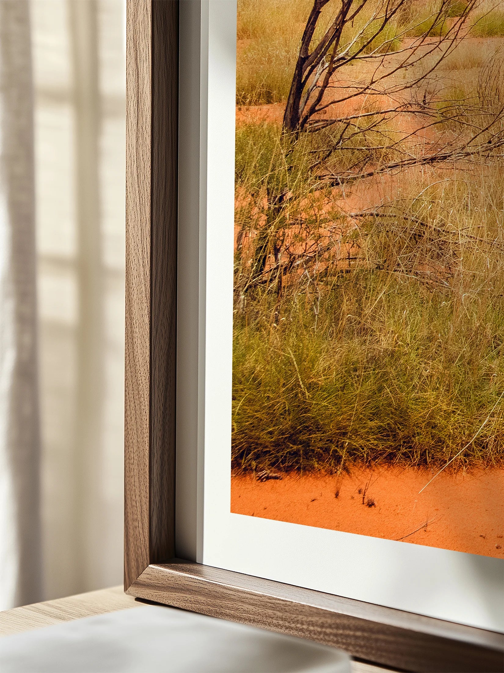 Lasseter Highway Spinifex, Trees and Dunes Landscape